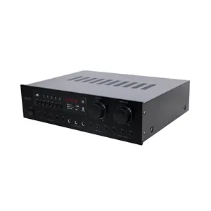 Profession elles Bluetooth 2*100W Ohm 2.0 Leistungs verstärker Audio mit integriertem MP3 für Smart Home Theater System Lautsprecher