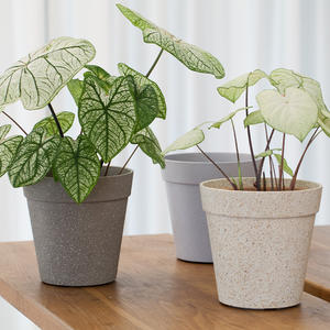 Pots de culture en plastique 4 pots de pépinière de 10 gallons Pots de semis de 68mm Jardinières d'extérieur hautes en résine - Product Image 4