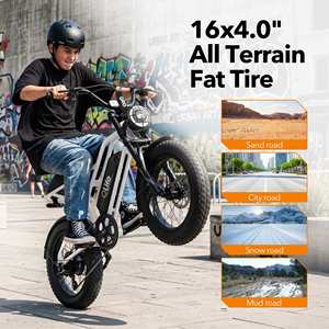 จักรยานไฟฟ้าล้อโต 16 นิ้ว 1500 วัตต์ แบตเตอรี่ถอดได้ 48V 10.4Ah ระบบกันสะเทือนเต็มรูปแบบ มินิอีไบค์สำหรับวัยรุ่นและผู้ใหญ่ ขายส่ง OEM - Product Image 1