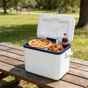 <span class=keywords><strong>Bolsa</strong></span> Térmica Aislada DLM de 10L con Asa Antideslizante <span class=keywords><strong>para</strong></span> Pesca y Camping al Aire Libre - Product Image 2