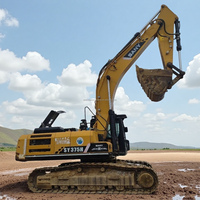 Excavadora SANY SY375H Usada, Bajo Número de Horas, 37.5 Toneladas, con Cucharón de 2m³, Motor Isuzu, Excavadora de Orugas