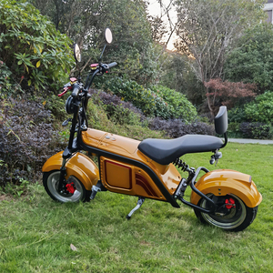 Scooter Rétro Cruiser Adulte 1000W 60V20A avec Double Siège, Livraison Porte-à-Porte au Brésil depuis l'Entrepôt - Product Image 3