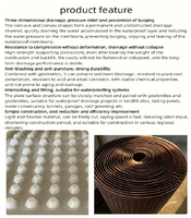 Panneau de drainage brun intégré de 8 mm, 10 mm, 12 mm, 15 mm, 20 mm, imperméable, pour mur de soutènement