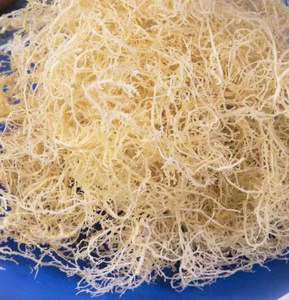 Musgo de mar rico en vitamina E, musgo de mar puro irlandés, material crudo artesanal, musgo de mar - Product Image 6