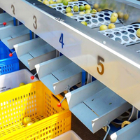 Lonkia Automatische Wortelaardappelsorteermaat En Reinigingsmachine \ Wortelwasmachines \ Wortelsorteermachine