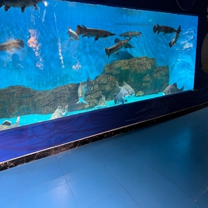 Aquariums de grande taille personnalisés en usine acrylique de rectangle de grand réservoir de poissons <span class=keywords><strong>Aquarium</strong></span> acrylique durable de 100 MM - Product Image 1