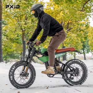 PXID MANTIS P6 Ev Bike Manufacture Wholesale 20 Inch Electric Fatbike 750W 1000W 1500W Ebike For Adults