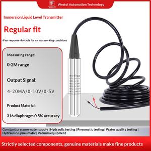Dalgıç Tip Su Seviye Göstergesi Yüksek Hassasiyetli İthal Çipli Yüksek Sıcaklık Dayanımlı Tıkanmaz Su Seviyesi Göstergesi - Product Image 6