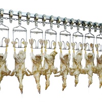 Chaîne d'abattage flexible pour volailles Haoze |   300-15000BPH |   Poulet Canard |   Solution clé en main |   Roulement de moteur de pompe |   Avancé