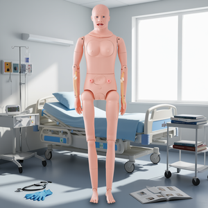 Mannequin d'entraînement infirmier multifonctionnel grandeur nature, modèle anatomique en PVC, sciences médicales D0100H532U2 - Product Image 2