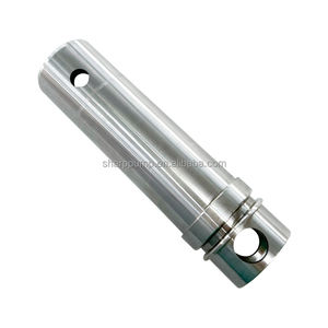 सेपेक्स BN10-12 पंप ड्राइव शाफ्ट उच्च टॉर्क परिशुद्धता इंजीनियर स्पेयर पार्ट - Product Image 3