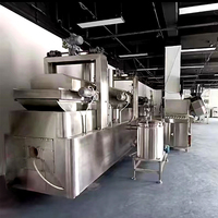 Continue, hoogproductieve, volautomatische lijn voor de verwerking van pinda's en brede bonen met mixer en friteuse voor frituurproductie
