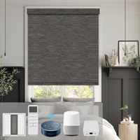 Stores enrouleurs occultants intelligents Allbright à commande Wi-Fi pour fenêtres, contrôle par application, stores automatiques