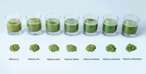 Tè Verde Giapponese Tencha Premium Ideale per Matcha - Product Image 2