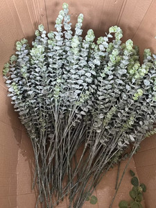 Hierba del Dinero de Plástico Verde Polvoriento de 78 cm (Eucalipto, Desmodium, Lysimachia) para el Hogar, Regalos de Navidad, Funerales y Decoración de Tumbas - Product Image 3