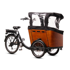 TXED Venta caliente 7 velocidades 36V 13AH batería de litio Bakfiets 3 ruedas bicicleta de carga uso familiar triciclos de carga eléctrica - Product Image 2