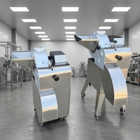 Industriële voedselveilige multifunctionele wortelgroentesnijmachine, elektrische aardappel-wortelsnijder en -snijmachine voor fruit en groenten