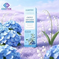 Diffuseur d'herbes personnel portable en forme de stylo, en carton, nébuliseur de vitamines, inhalateur d'huiles essentielles naturelles, cadeau Cortex/OEM