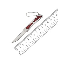 Draagbare Roestvrijstalen Opvouwbare Mes Mini Pakket Opener & Fruit Mes Met Sleutelhanger Voor Outdoor Camping Zelfverdediging