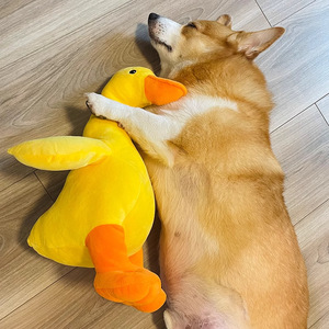 Jouet en peluche en forme de canard pour chiens, compagnon de jeu d'intérieur pour animaux de compagnie, cadeau pour chiot Corgi - Product Image 1