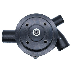Bomba de Agua Cw para Maquinaria Agrícola Massey Ferguson IMT-533 3E60484, Pieza de Repuesto - Product Image 2