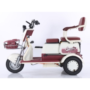 โรงงานขายส่งรถสามล้อไฟฟ้า 48V ไม่มีหลังคา สำหรับรับ-ส่งเด็ก - Product Image 2