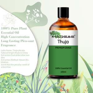 Suministro de fábrica OEM 100% aceite esencial de arborvitae oriental puro y natural de <span class=keywords><strong>Thuja</strong></span> para el cuidado de la piel - Product Image 2