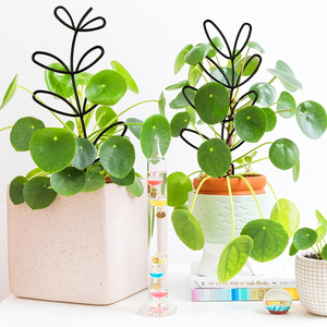 Support pour plantes en fil métallique personnalisé en forme de nid d'abeille support pour plantes grimpantes <span class=keywords><strong>cadre</strong></span> d'escalade de vigne - Product Image 6