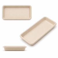 Plateau rectangulaire compostable en bagasse 11x5 pouces, en fibre de canne à sucre, pour sushi, apéritifs, traiteur, buffet, planche à charcuterie