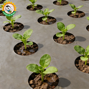 Toile de paillage durable Garden Bee pour le contrôle des adventices, film agricole biodégradable en papier pour la croissance des plantes - Product Image 1