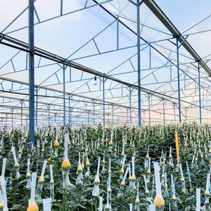 Film de serre de haute qualité pour la culture des fleurs La rétention d'humidité et de chaleur crée un microclimat stable pour la croissance des plantes - Product Image 1
