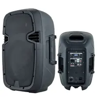 Speakers portable Professional audio speaker 10" 300W Karaoke DJ sound box sets TWS-USB SD reader-ECHO-Mic- RC Bocina Parlant