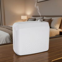 Diffuseur d'huiles essentielles électrique de luxe à air froid pour extérieur, Bluetooth automatique, garantie 1 an, capacité 800 ml, faible bruit