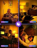 Ampoule LED LOHAS populaire 9W A19 1800-2000K, lumière jaune ambre, économie d'énergie, aide au sommeil, pour chambre à coucher, salle de bain, couloir