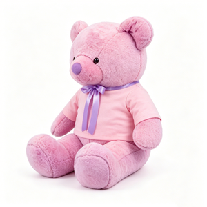 Oso de peluche rosa personalizado, oso de peluche relleno, oso de peluche vestido, oso de peluche rosa suave, oso de peluche con camiseta - Product Image 1
