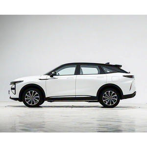 Veicolo di Marca Cinese alla Moda, Amato e Apprezzato: Chery Exeed Yaoguang C-DM di Alta Gamma - Product Image 5