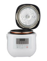 Autocuiseur Électrique Multifonctionnel de Cuisine Domestique 3L, Mini Cuiseur à Riz avec Cuve Intérieure en Aluminium – Vente en Gros Usine