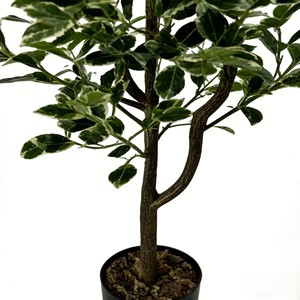 ต้นไทรประดิษฐ์ - Product Image 5