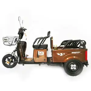 Tricycle car electric trike three wheel motorcycle moto taxi for sale