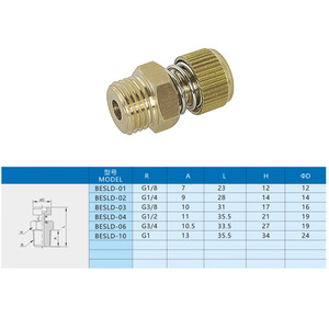 Silencieux pneumatique Xingyi Technology BESLD 01 02 03 04 06 10 en cuivre, valve de réduction du bruit - Product Image 1