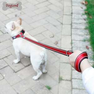 Delux-Juego de correa reflectante para perros, correa de nailon para mascotas con asa acolchada y luces duraderas - Product Image 5