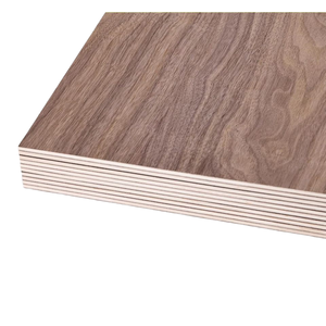 Thân Thiện Với Môi Thiết Kế Hiện Đại Cửa Tấm Nhà Số 3Mm A3 10 Miếng 420X300X3Cm Căn Hộ Sử Dụng Tường Gắn Mô Hình Smq - Product Image 3