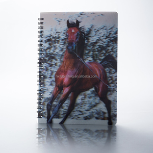 Cuaderno Lenticular de Alta Calidad con Impresión 3D Personalizable, Tamaños A4/A5/A6, en PP/PET, con Diseño Elegante y Gran Viableidad Global - Product Image 5