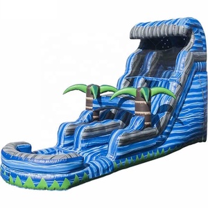 Ngoài trời thiết kế mới đôi Lane Inflatable screamer nước Roaring trượt và trượt với hồ bơi - Product Image 2