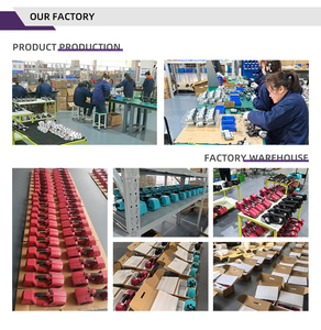 Machine <span class=keywords><strong>d</strong></span>'impression de dates sur œufs avec écran tactile 4,3 pouces, machine de codage intelligente pour œufs, imprimante <span class=keywords><strong>d</strong></span>'étiquettes alimentaires - Product Image 6