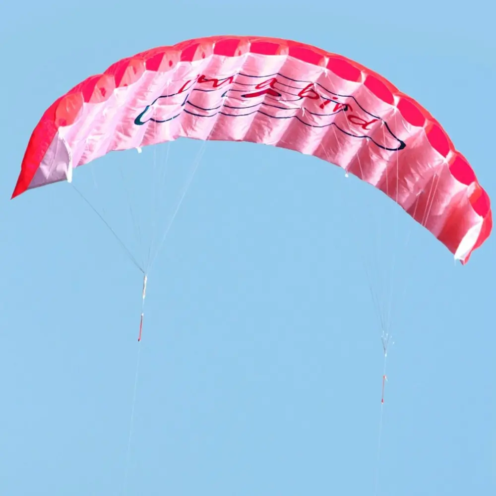 1.2m 48'' Flying Fish Kite Tail Outdoor Sport Game Children Kids Fun Toy Gift 