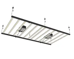 Koray-luces Led de bambú de alta potencia para jardín, iluminación de espectro completo Ts600, 100 vatios, Vero29