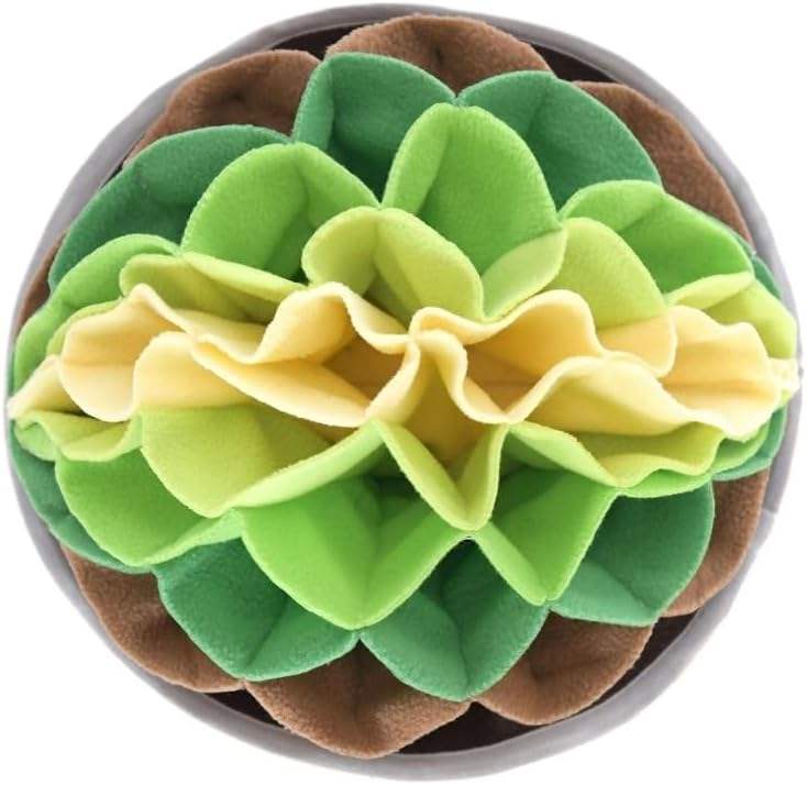 ป่าเรืองแสงสีเขียว