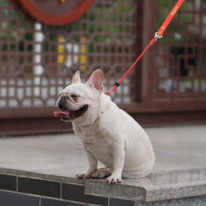 Luxe Nylon Hondenriem Voor Kleine Honden Comfortabel Op Maat Bedrukt Huisdier Tractietouw Voor Buitentraining Cartoon Groothandel - Product Image 6