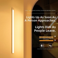 Bande LED ultra-fine à détecteur de mouvement pour armoire, avec installation magnétique, télécommande, intensité variable, 3 températures de couleur, pour armoire, cuisine, maison